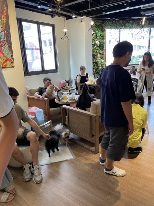 森林小徑健行店對寵物超友善